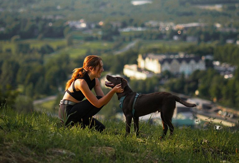 Randonnée avec son chien à Bromont et séjour à l'Hôtel Château-Bromont