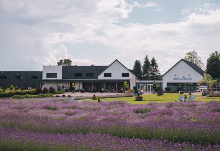 Bleu Lavande et séjour à l'Hôtel Château-Bromont