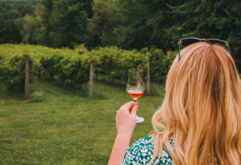 Personne tenant un verre de vin dans sa main face à des vignes.