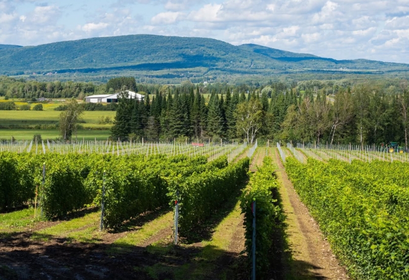 Vignoble Val Brôme