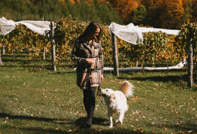 Balade au vignoble Val Caudalie à l'automne