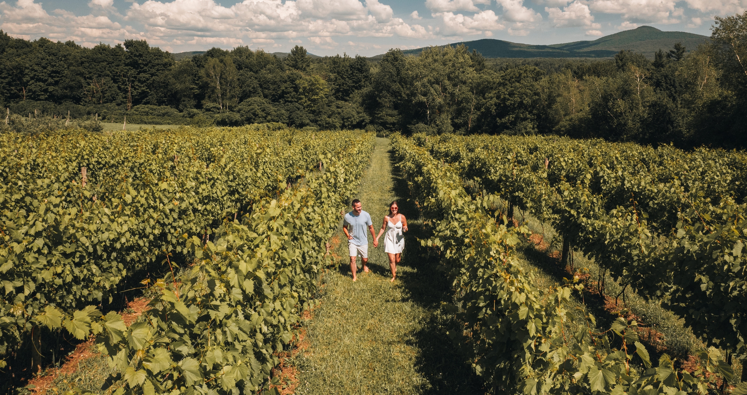Couple dans les vignobles